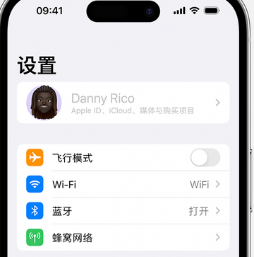 乌兰浩特appleID维修服务iPhone设置中Apple ID显示为灰色无法使用 