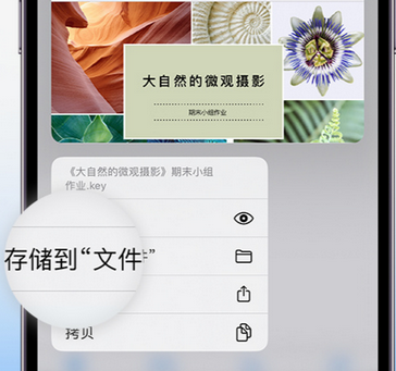 乌兰浩特apple维修中心分享iPhone文件应用中存储和找到下载文件