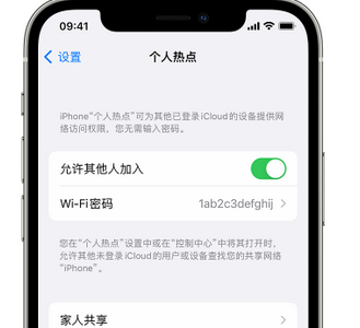 乌兰浩特apple服务站点分享iPhone上个人热点丢失了怎么办