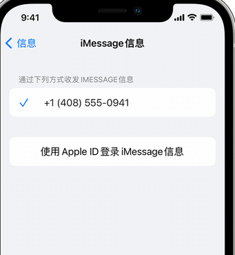 乌兰浩特apple维修iPhone上无法正常发送iMessage信息 