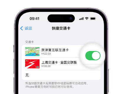 乌兰浩特apple维修点分享iPhone上更换Apple Pay快捷交通卡手绘卡面 