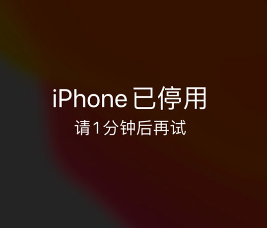 乌兰浩特苹果手机维修分享:iPhone 显示“不可用”或“已停用”怎么办？还能保留数据吗？ 