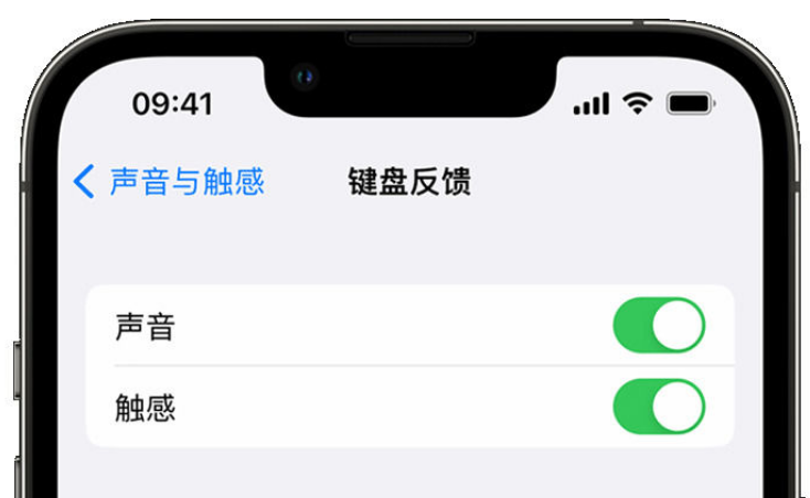 乌兰浩特苹果手机维修分享iPhone 14触感键盘使用方法 