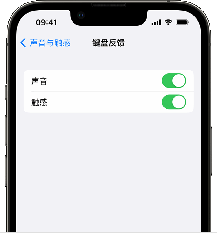 乌兰浩特苹果14维修店分享如何在 iPhone 14 机型中使用触感键盘 