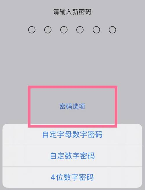 乌兰浩特苹果14维修分享iPhone 14plus设置密码的方法 