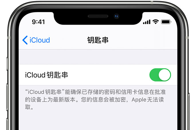 乌兰浩特苹果手机维修分享在 iPhone 上开启 iCloud 钥匙串之后会储存哪些信息 